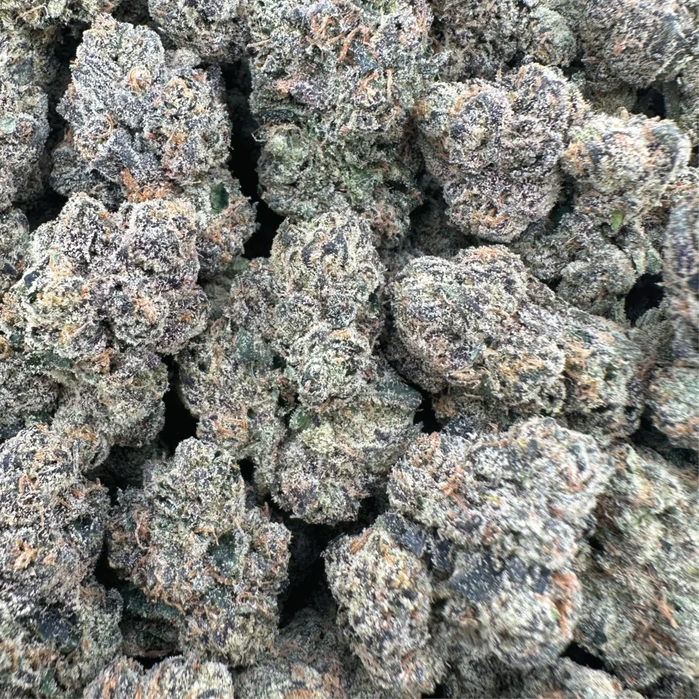 Lemon Cherry Gelato Hybrid