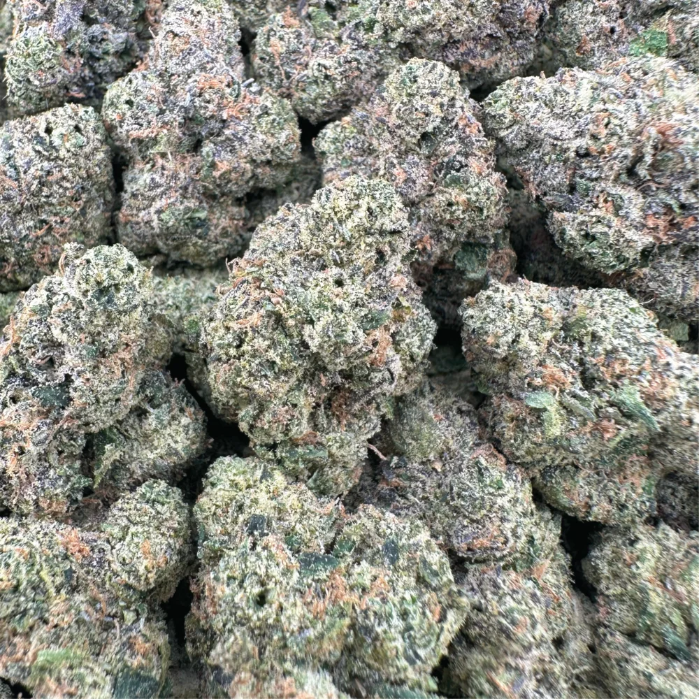 Milk and Cookies Hybrid