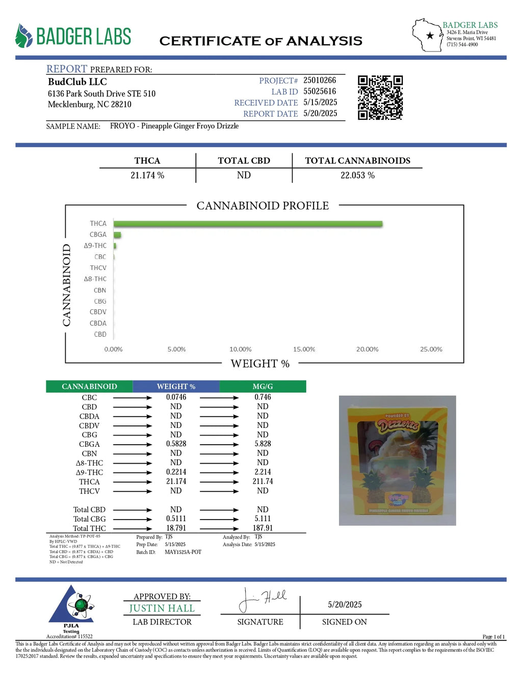 PINEAPPLE GINGER FROYO DRIZZLE