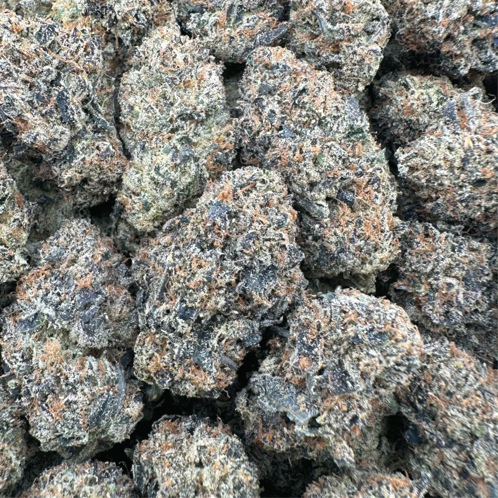 SUNSET SHERBERT HYBRID