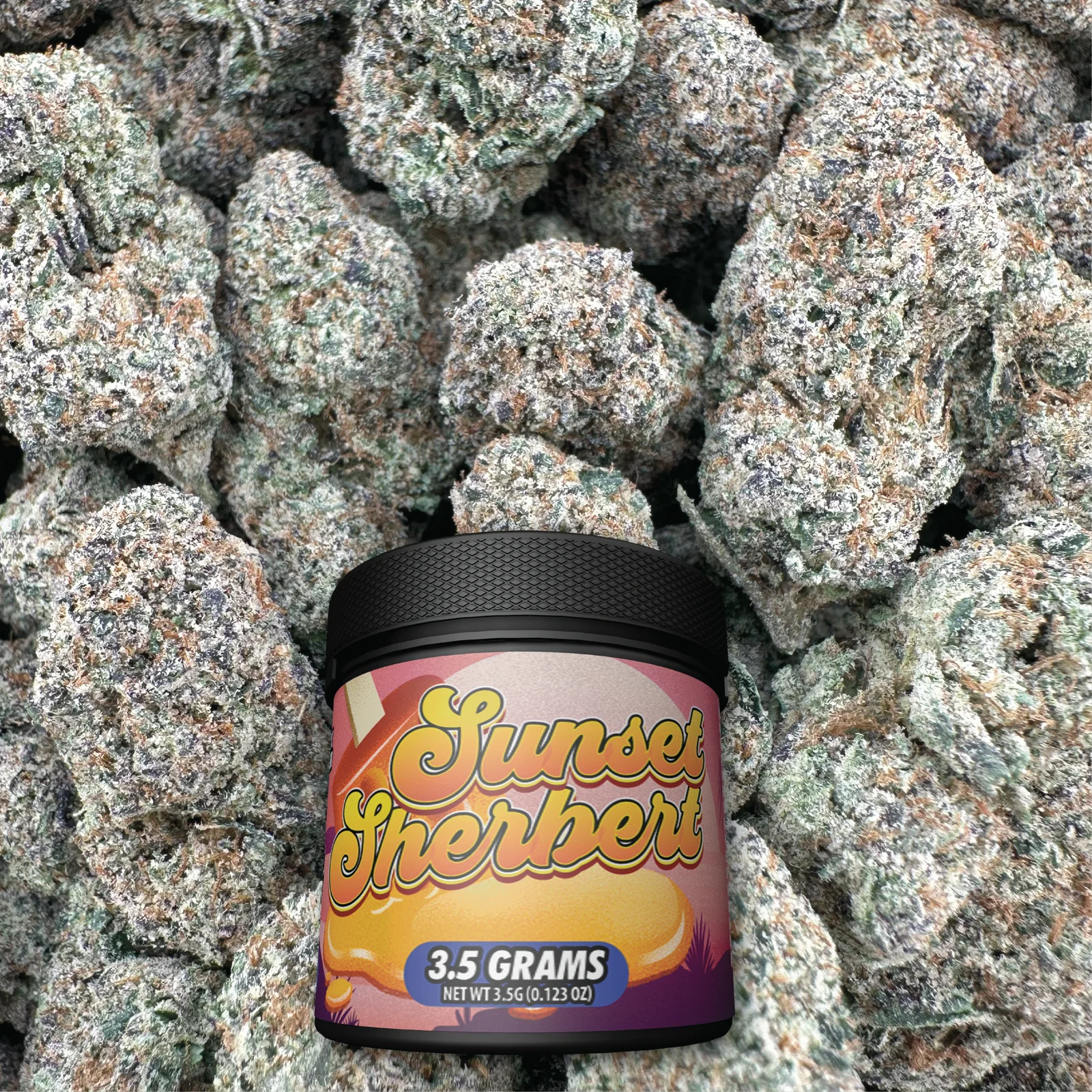 SUNSET SHERBERT HYBRID