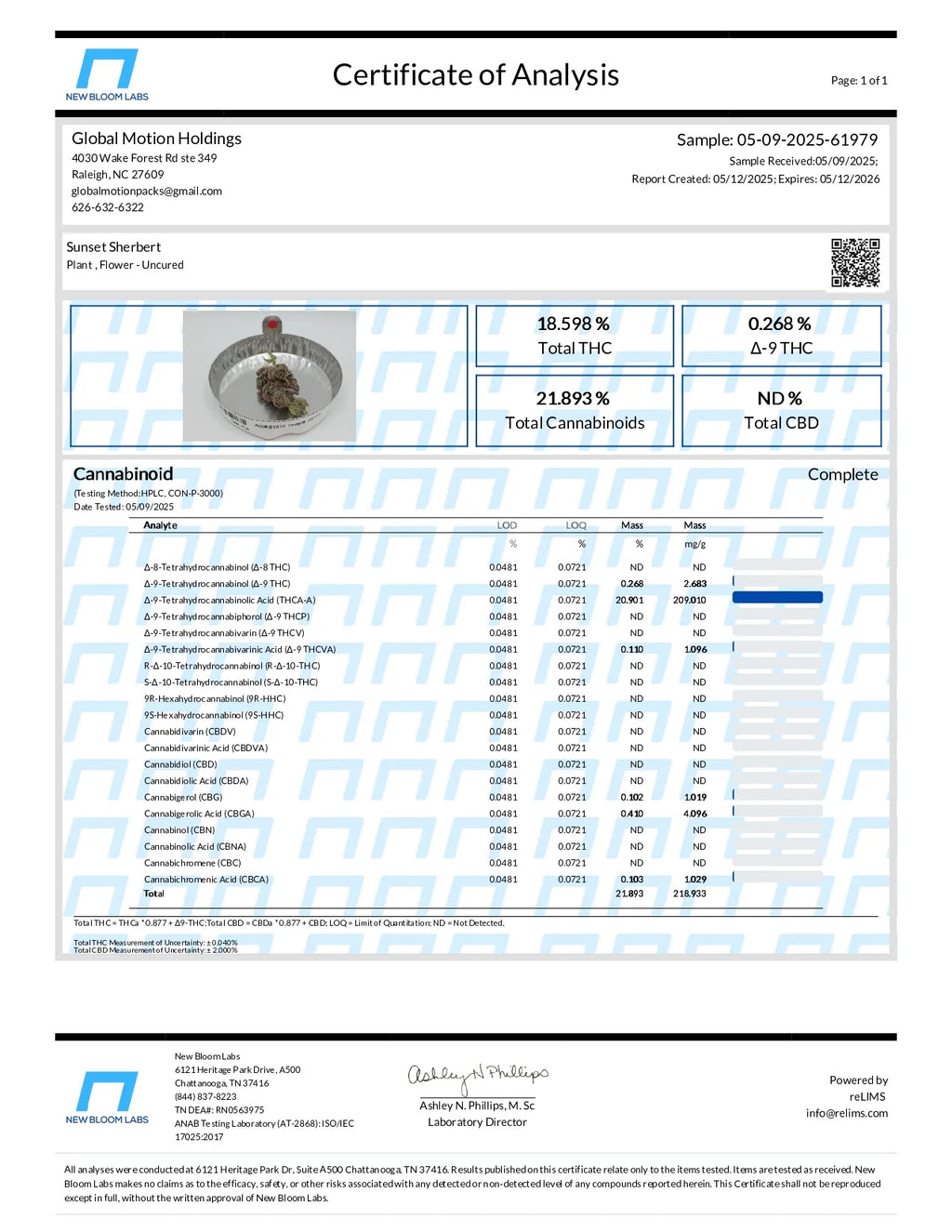 SUNSET SHERBERT HYBRID