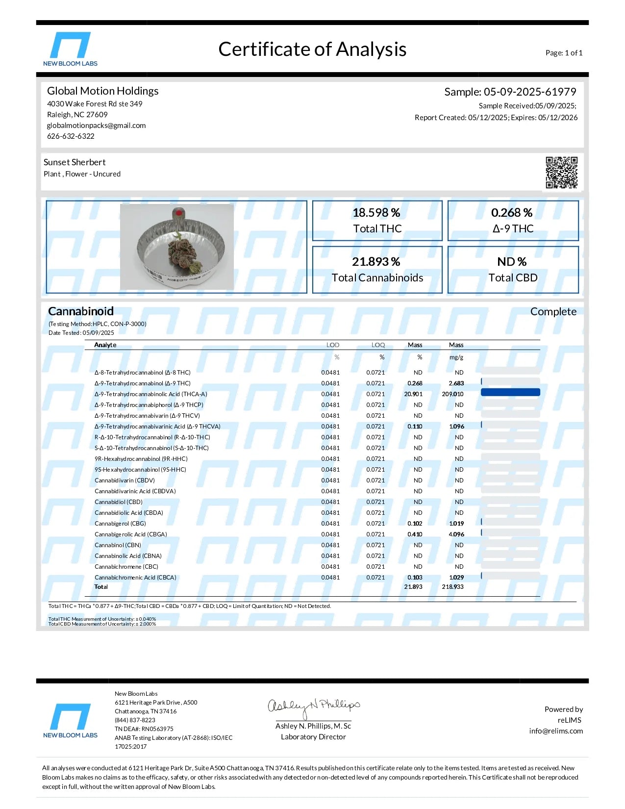 SUNSET SHERBERT HYBRID
