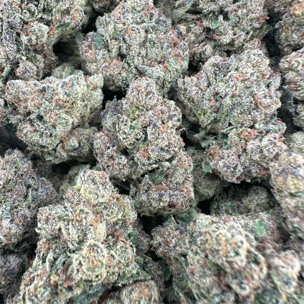 Tropical Runtz Top Shelf Hybrid Flower