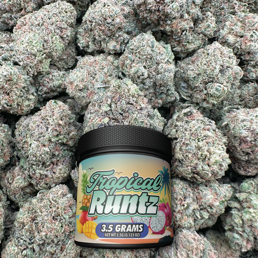 Tropical Runtz Top Shelf Hybrid Flower