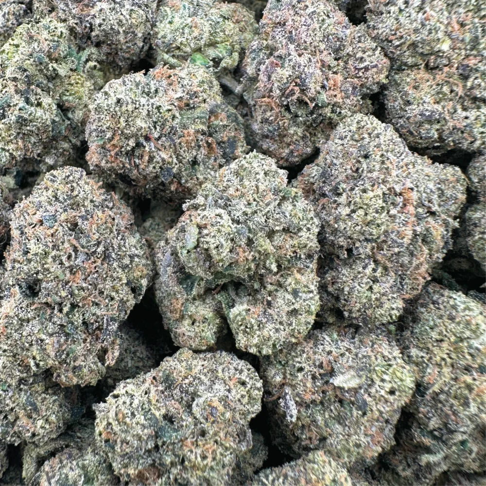 Watermelon Sherbert Hybrid Indoor Flower