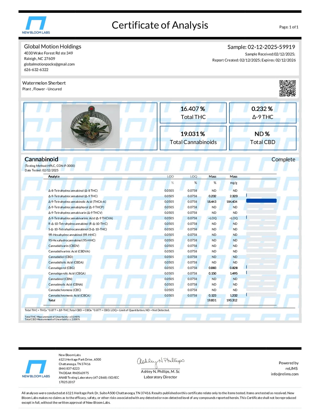 Watermelon Sherbert Hybrid Indoor Flower