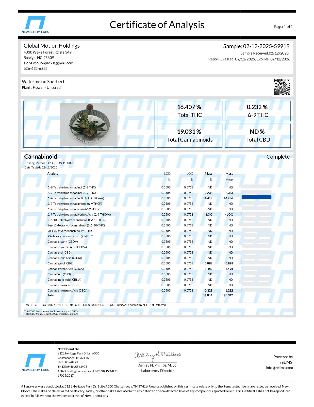 Watermelon Sherbert Hybrid Indoor Flower