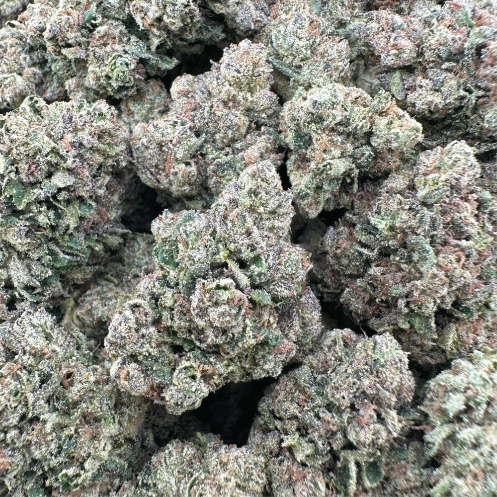 White Gusherz Top Shelf Sativa