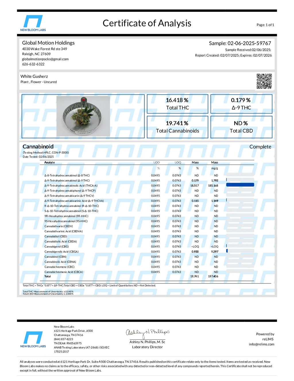 White Gusherz Top Shelf Sativa